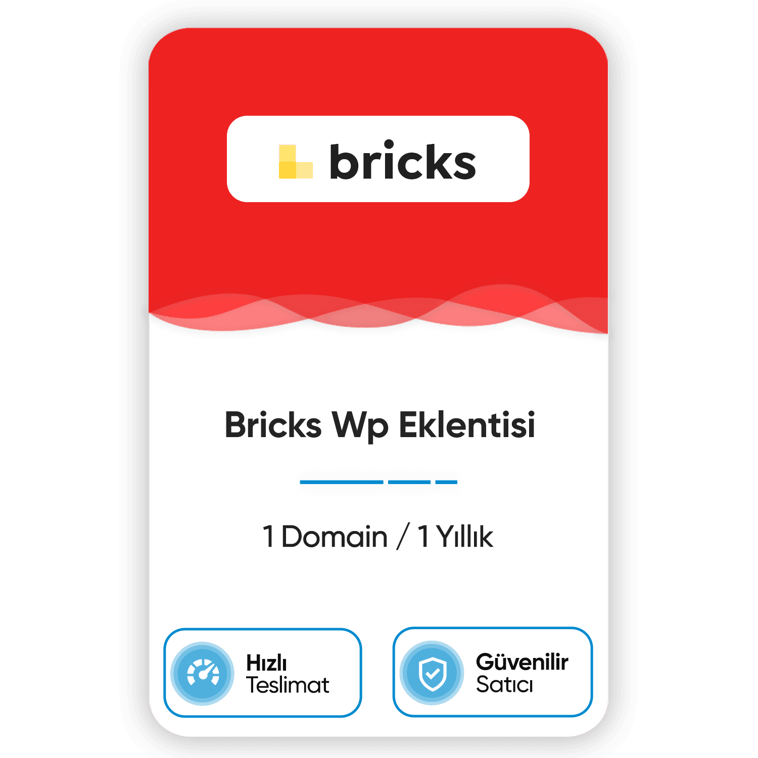 bricks-wp-eklentisi-1-domain-1-yillik.png