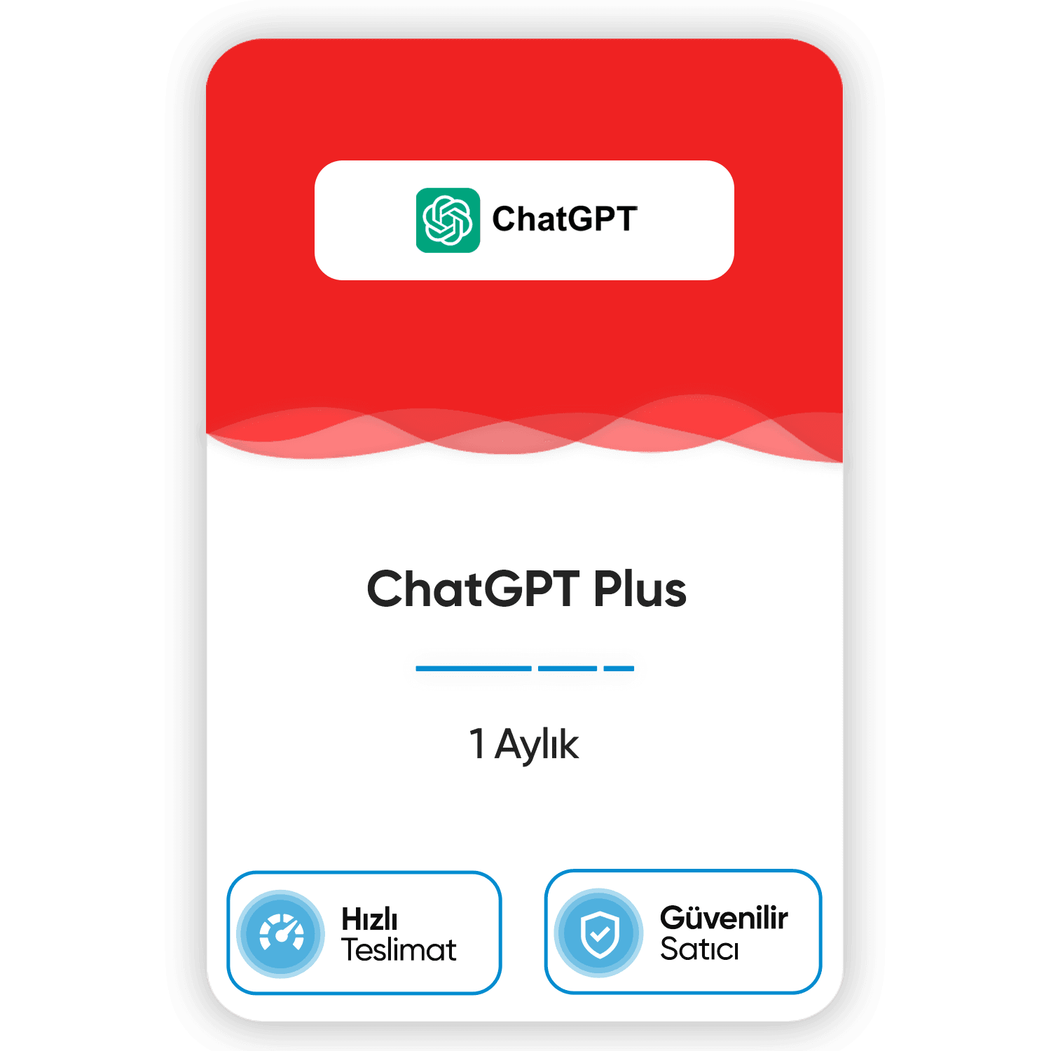 chatgpt-plus-1-aylik.png
