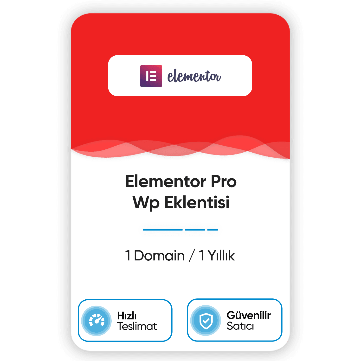 elementor-pro-wp-eklentisi-1-domain-1-yillik.png