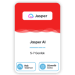 Jasper Ai 7 Günlük