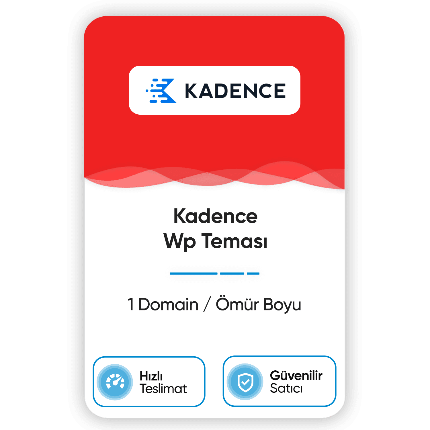 kadence-wp-temasi-1-domain-omur-boyu.png