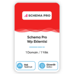 Schema Pro Wp Eklentisi