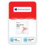 Microsoft SQL Server 2019 Standard Lisans