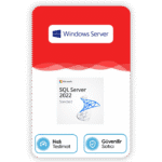 Microsoft SQL Server 2022 Standard Lisans