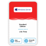 Windows Server 2025 Standard Lisans